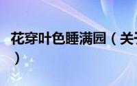 花穿叶色睡满园（关于花穿叶色睡满园的简介）