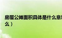 房屋公摊面积具体是什么意思（房屋公摊面积具体意思是什么）