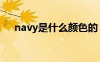 navy是什么颜色的（navy什么颜色的）