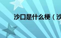 沙口是什么梗（沙口梗的出处介绍）