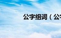 公字组词（公字组词有哪些）