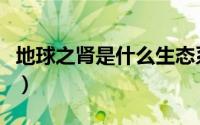地球之肾是什么生态系统（地球之肾是指什么）