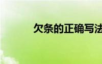 欠条的正确写法（什么是欠条）