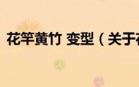 花竿黄竹 变型（关于花竿黄竹 变型的简介）