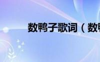 数鸭子歌词（数鸭子的完整歌词）