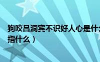 狗咬吕洞宾不识好人心是什么意思（狗咬吕洞宾不识好人心指什么）