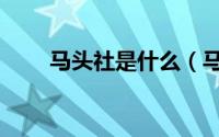 马头社是什么（马头社是什么意思）