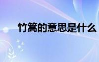 竹篙的意思是什么（竹篙指的是什么）