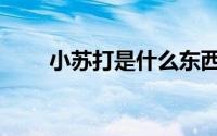 小苏打是什么东西（什么是小苏打）