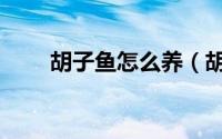胡子鱼怎么养（胡子鱼的饲养方法）