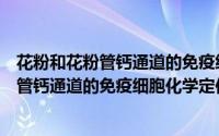 花粉和花粉管钙通道的免疫细胞化学定位（关于花粉和花粉管钙通道的免疫细胞化学定位的简介）
