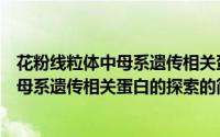 花粉线粒体中母系遗传相关蛋白的探索（关于花粉线粒体中母系遗传相关蛋白的探索的简介）