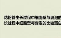 花粉管生长过程中细胞壁与囊泡的比较蛋白质组学研究（关于花粉管生长过程中细胞壁与囊泡的比较蛋白质组学研究的简介）