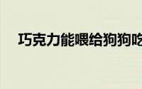 巧克力能喂给狗狗吃吗（狗狗能吃糖吗）