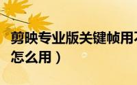 剪映专业版关键帧用不了（剪映专业版关键帧怎么用）