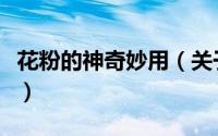 花粉的神奇妙用（关于花粉的神奇妙用的简介）
