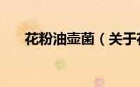 花粉油壶菌（关于花粉油壶菌的简介）