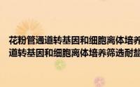 花粉管通道转基因和细胞离体培养筛选耐盐小麦的研究（关于花粉管通道转基因和细胞离体培养筛选耐盐小麦的研究的简介）