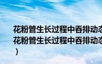 花粉管生长过程中吞排动态及其与细胞壁建成的关系（关于花粉管生长过程中吞排动态及其与细胞壁建成的关系的简介）