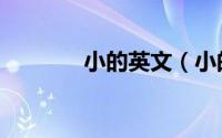 小的英文（小的英文是什么）