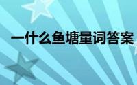 一什么鱼塘量词答案（一什么鱼塘填量词）