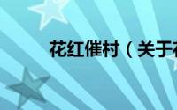 花红催村（关于花红催村的简介）