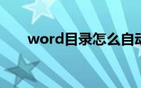 word目录怎么自动生成（操作步骤）