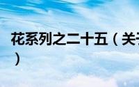 花系列之二十五（关于花系列之二十五的简介）