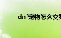 dnf宠物怎么交易（怎么卖宠物）