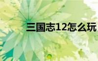 三国志12怎么玩（玩法步骤介绍）