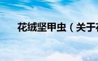 花绒坚甲虫（关于花绒坚甲虫的简介）
