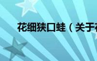 花细狭口蛙（关于花细狭口蛙的简介）