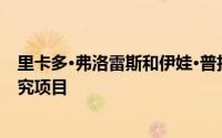 里卡多·弗洛雷斯和伊娃·普拉茨说我们将每个项目都视为研究项目