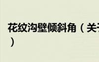 花纹沟壁倾斜角（关于花纹沟壁倾斜角的简介）