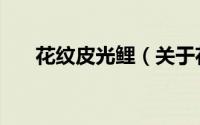 花纹皮光鲤（关于花纹皮光鲤的简介）