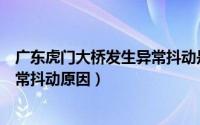 广东虎门大桥发生异常抖动是为什么（广东虎门大桥发生异常抖动原因）