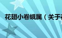 花翅小卷蛾属（关于花翅小卷蛾属的简介）
