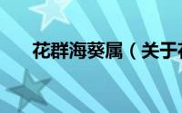 花群海葵属（关于花群海葵属的简介）