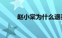 赵小棠为什么退赛（赵小棠简介）