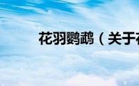 花羽鹦鹉（关于花羽鹦鹉的简介）