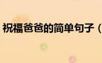 祝福爸爸的简单句子（关于爸爸的简单句子）