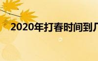 2020年打春时间到几点（深入了解立春）