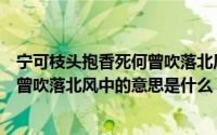 宁可枝头抱香死何曾吹落北风中的意思（宁可枝头抱香死何曾吹落北风中的意思是什么）