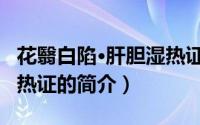 花翳白陷·肝胆湿热证（关于花翳白陷·肝胆湿热证的简介）