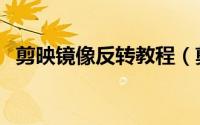 剪映镜像反转教程（剪映镜像翻转在哪里）