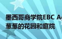 墨西哥商学院EBC Aguascalientes拥有郁郁葱葱的花园和庭院