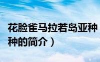 花脸雀马拉若岛亚种（关于花脸雀马拉若岛亚种的简介）