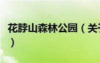 花脖山森林公园（关于花脖山森林公园的简介）