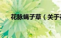 花脉蝇子草（关于花脉蝇子草的简介）
