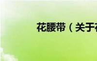 花腰带（关于花腰带的简介）